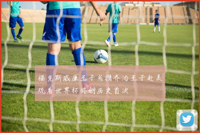 福克斯威廉王子或携乔治王子赴美观看世界杯将创历史首次